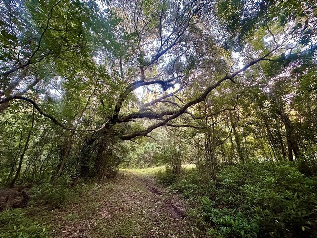 Science Dr, Brooksville, FL 34601 - photo 25