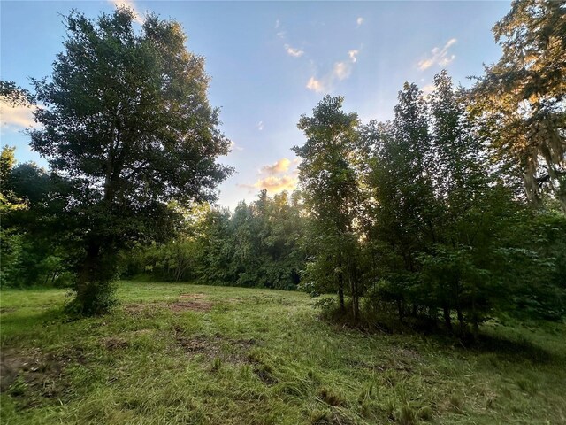 Science Dr, Brooksville, FL 34601 - photo 26