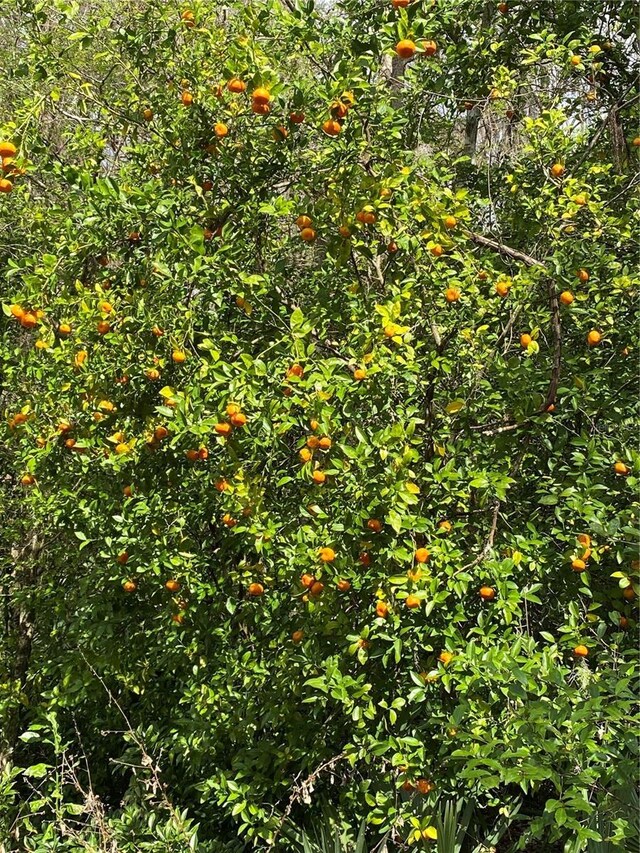Science Dr, Brooksville, FL 34601 - photo 28