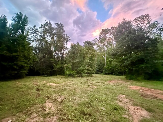 Science Dr, Brooksville, FL 34601 - photo 33