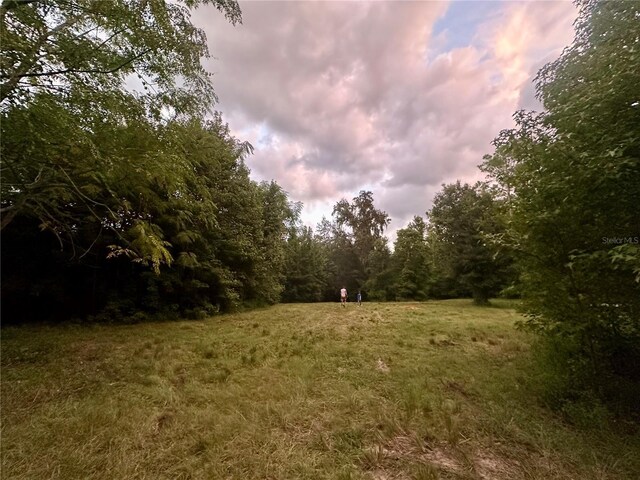 Science Dr, Brooksville, FL 34601 - photo 35