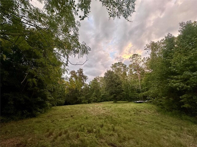 Science Dr, Brooksville, FL 34601 - photo 37