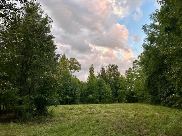 Science Dr, Brooksville, FL 34601 - photo 8