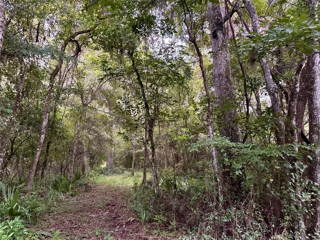 Science Dr, Brooksville, FL 34601 - photo 38