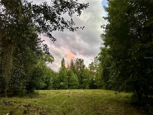 Science Dr, Brooksville, FL 34601 - photo 1