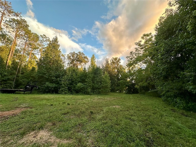 Science Dr, Brooksville, FL 34601 - photo 2