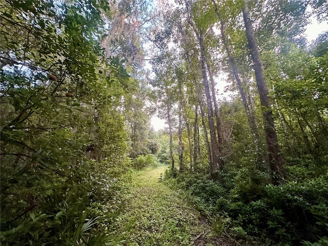 Science Dr, Brooksville, FL 34601 - photo 18