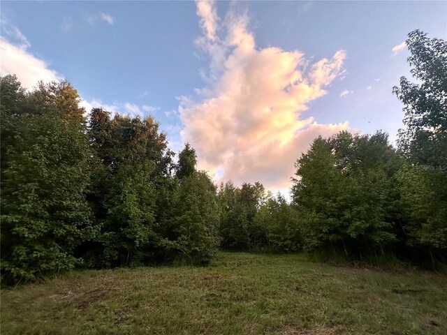 Science Dr, Brooksville, FL 34601 - photo 21