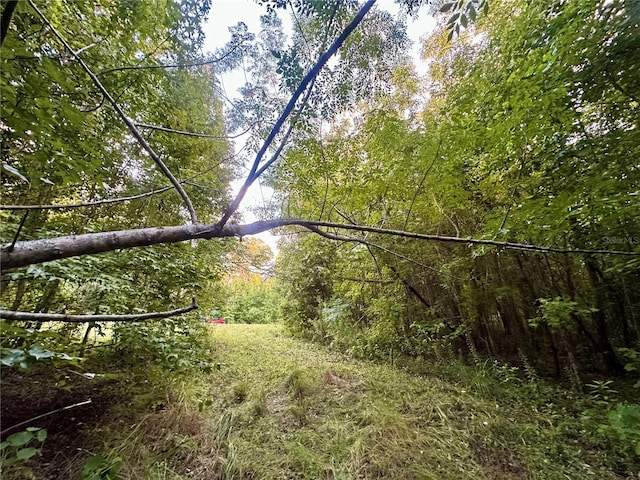 Science Dr, Brooksville, FL 34601 - photo 24