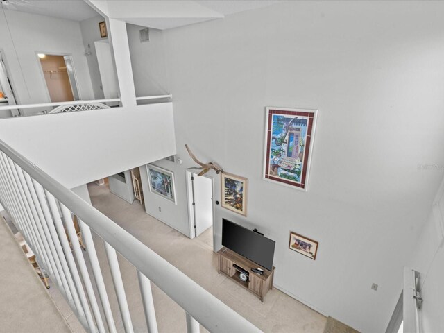 interior space featuring a high ceiling and carpet