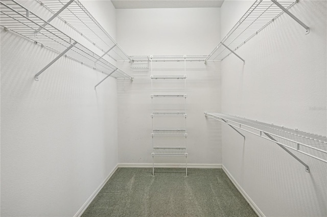 walk in closet featuring dark colored carpet