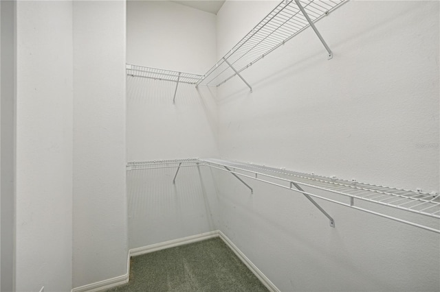 spacious closet featuring dark colored carpet