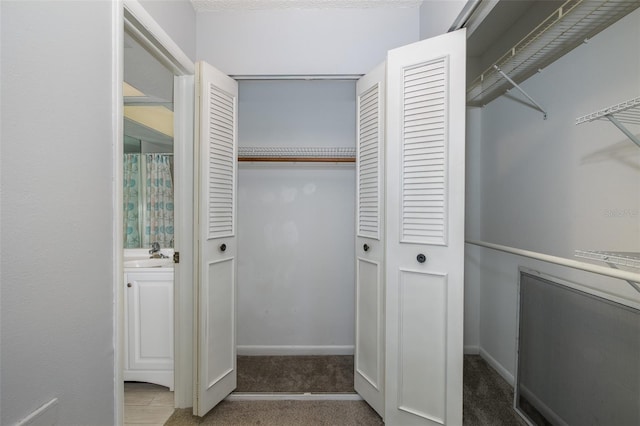 spacious closet with carpet floors