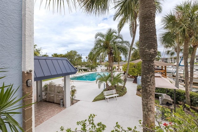 view of swimming pool with a patio area