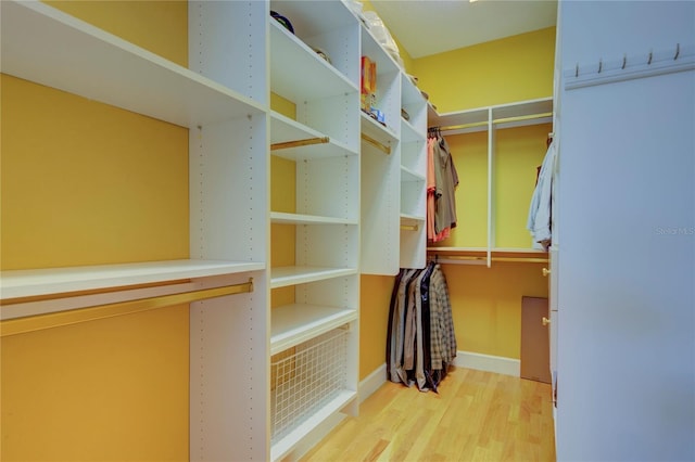 walk in closet with light wood-type flooring