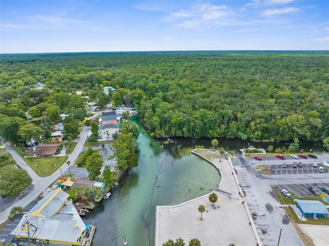 7287 Coventry Ct, Weeki Wachee, FL 34607 - photo 10