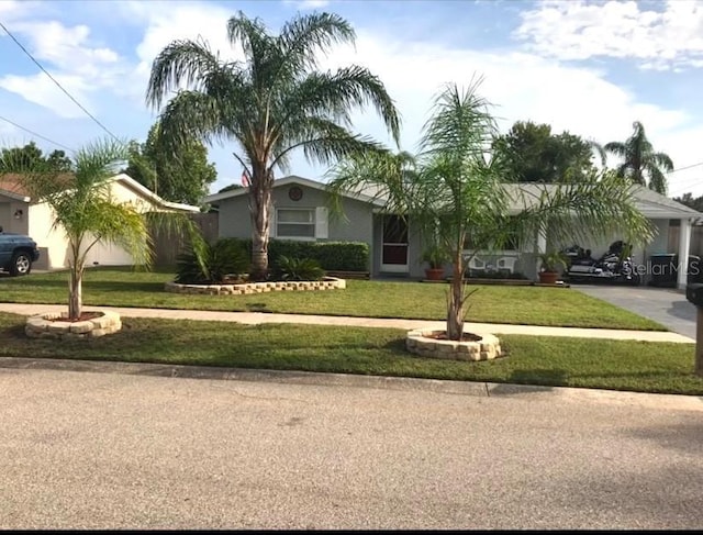 ranch-style house with a front yard