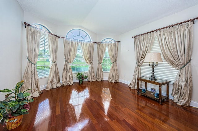 interior space featuring hardwood / wood-style flooring and lofted ceiling