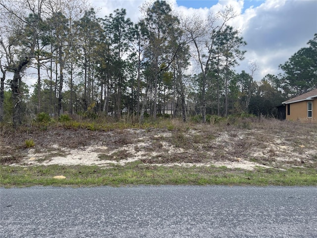 41 Linder St, Homosassa FL, 34446 land for sale