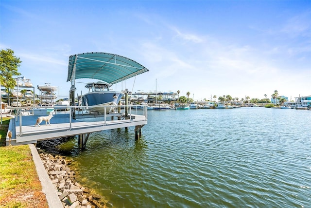 dock area with a water view