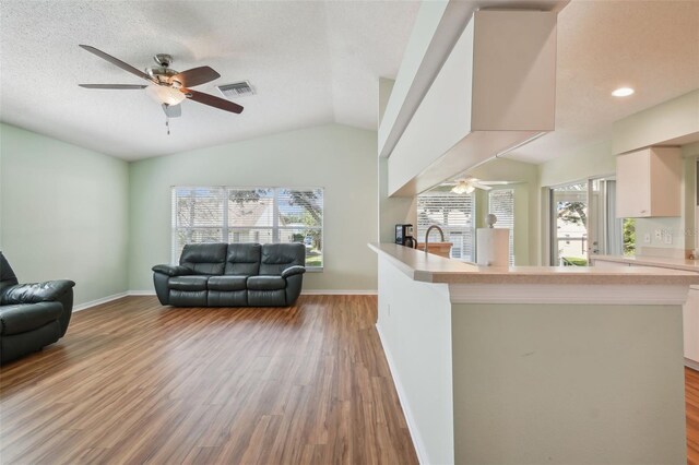 kitchen with hardwood / wood-style floors, a textured ceiling, vaulted ceiling, and a healthy amount of sunlight