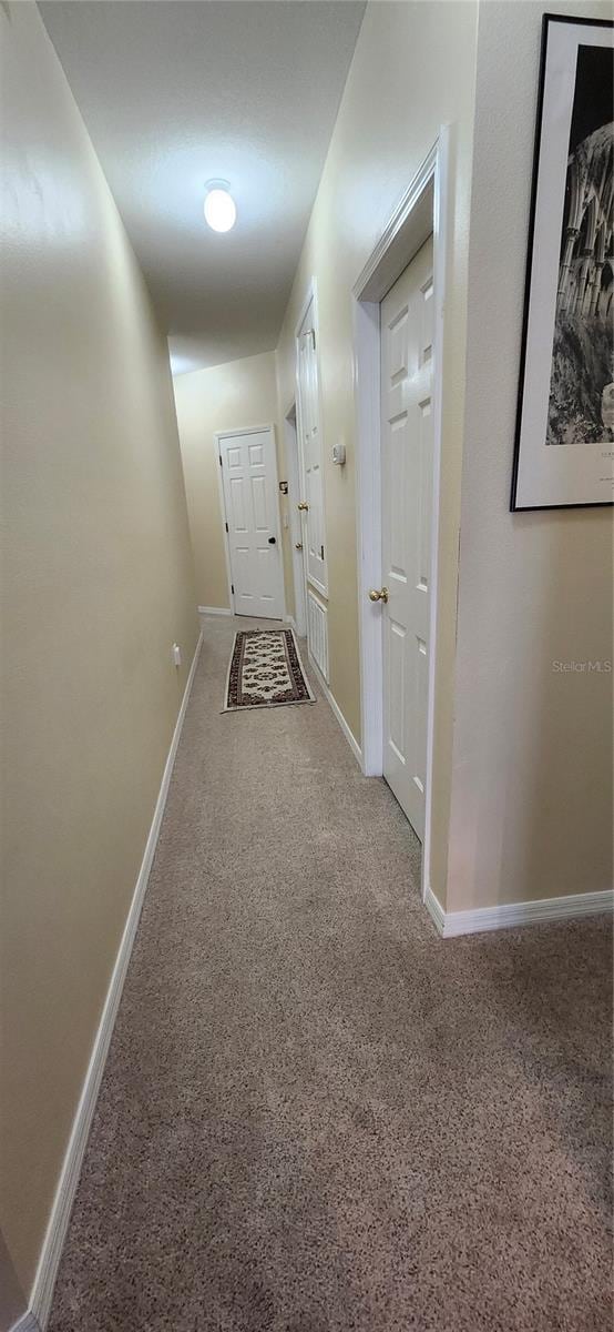 hall featuring carpet