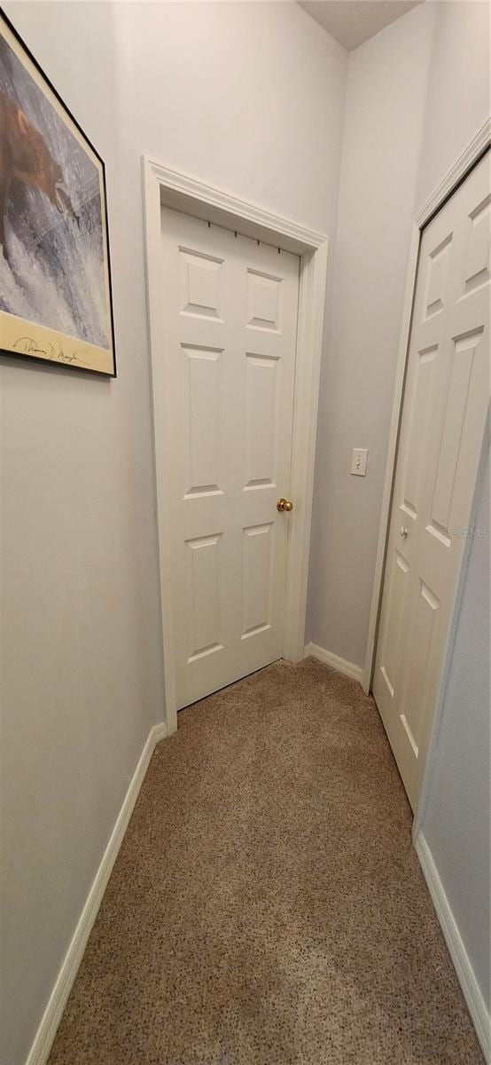 hallway with carpet