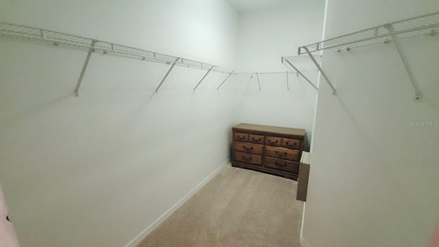 spacious closet featuring light colored carpet