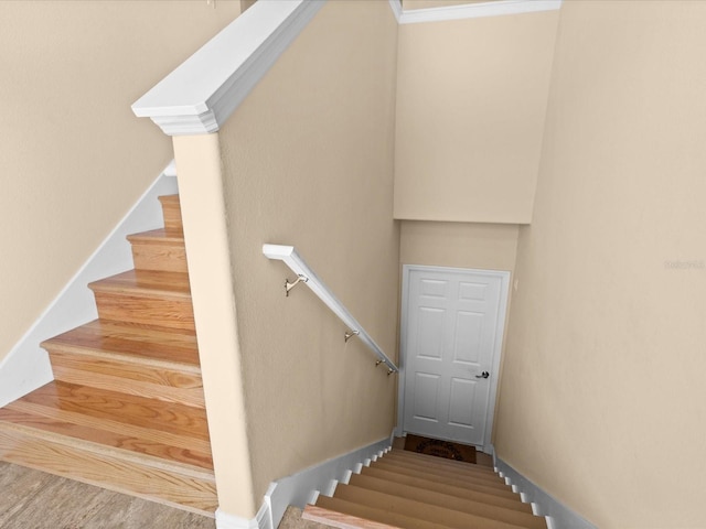 stairs with hardwood / wood-style floors