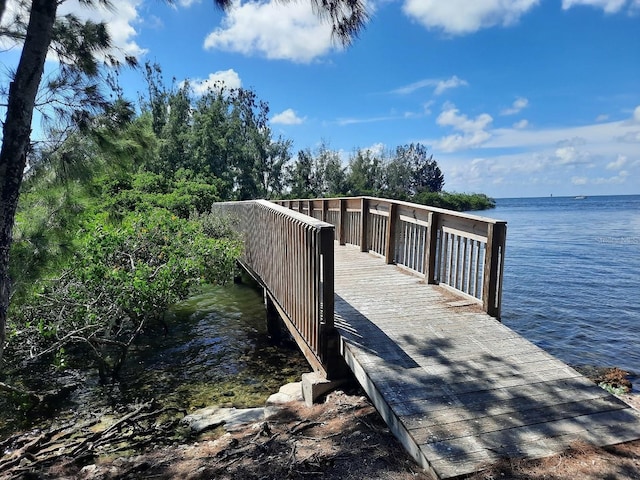 dock area with a water view