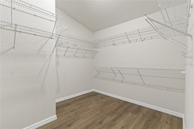 walk in closet with wood-type flooring and vaulted ceiling