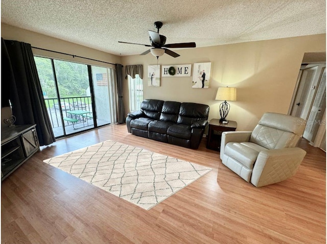 living room featuring ceiling fan, light hardwood / wood-style floors, and a textured ceiling