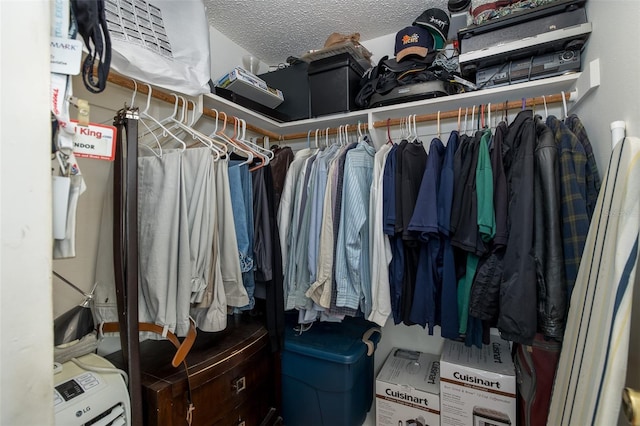 view of spacious closet