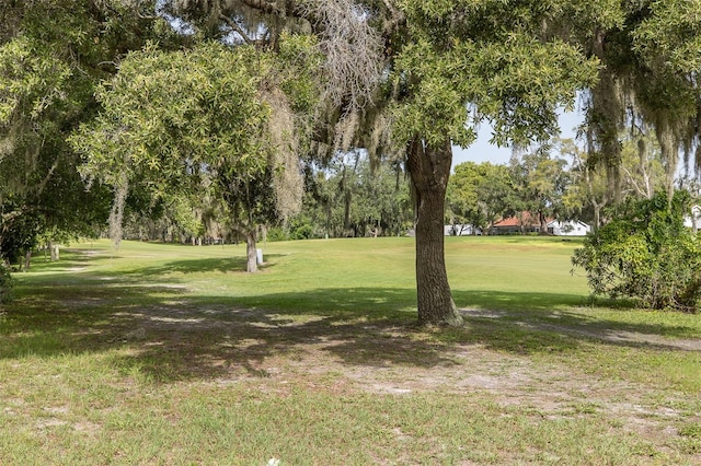 view of community with a lawn