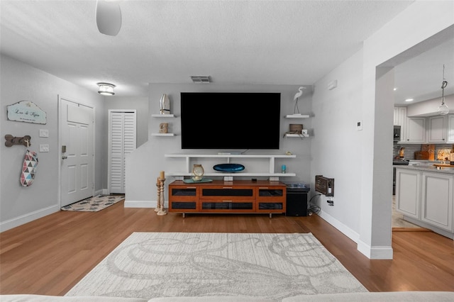 living room with hardwood / wood-style flooring and a textured ceiling