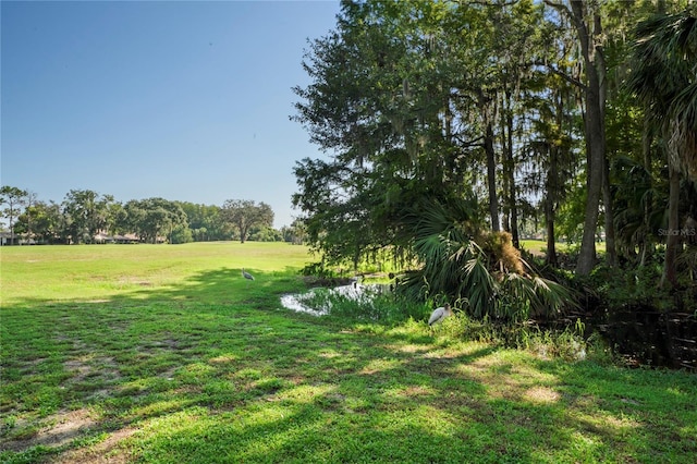 view of yard with a water view