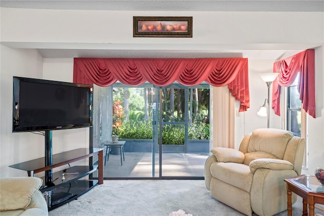 view of carpeted living room