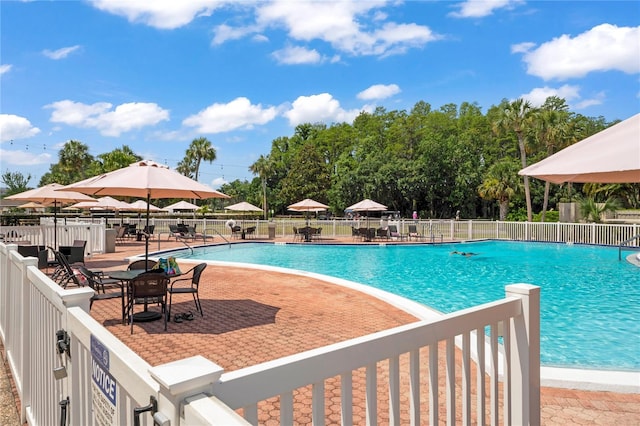 view of swimming pool featuring a patio