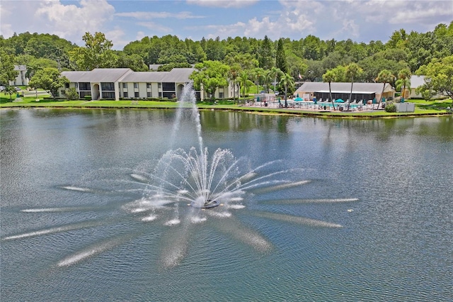 3232 Lake Pine Way E Unit H2, Tarpon Springs, FL 34688 - photo 44