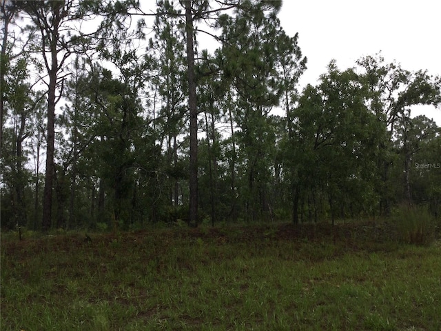 2191 W Citrus Springs Blvd, Dunnellon FL, 34434 land for sale