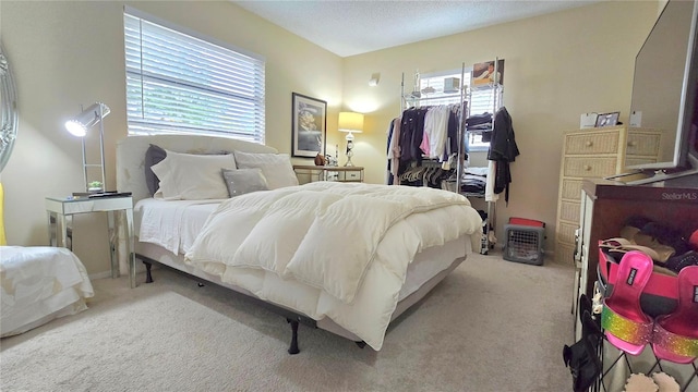 carpeted bedroom featuring a walk in closet and a closet