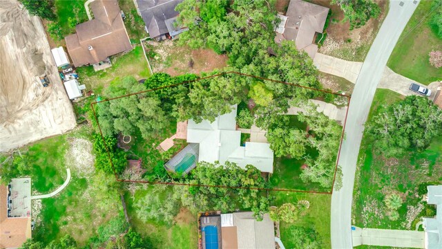 bird's eye view