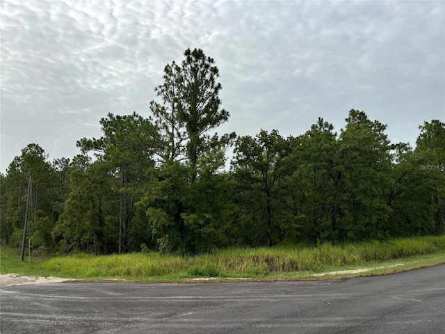 LOT1 Penn State Rd, Weeki Wachee FL, 34614 land for sale