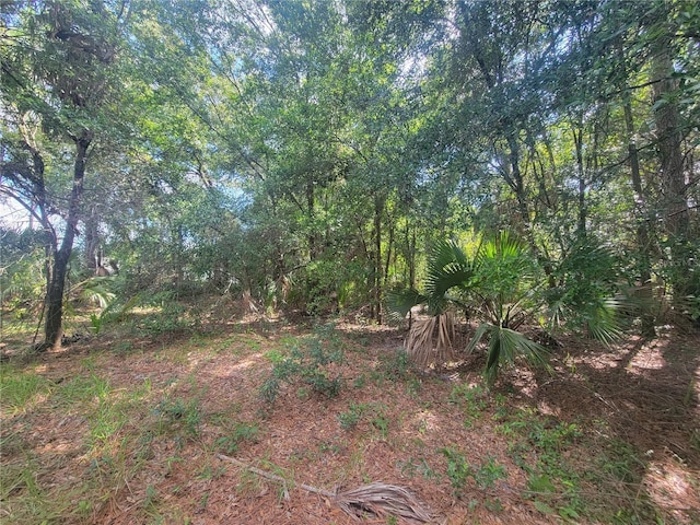 927 N Lindbergh Dr, Crystal River FL, 34429 land for sale