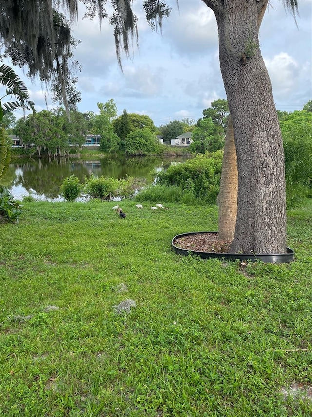 view of yard with a water view