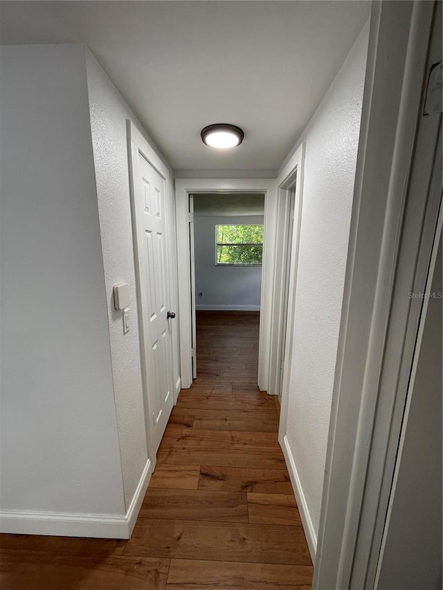 corridor with dark hardwood / wood-style flooring