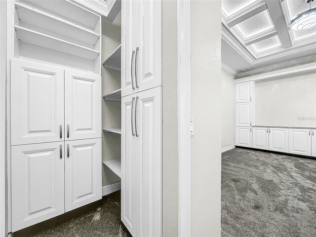 spacious closet with dark carpet