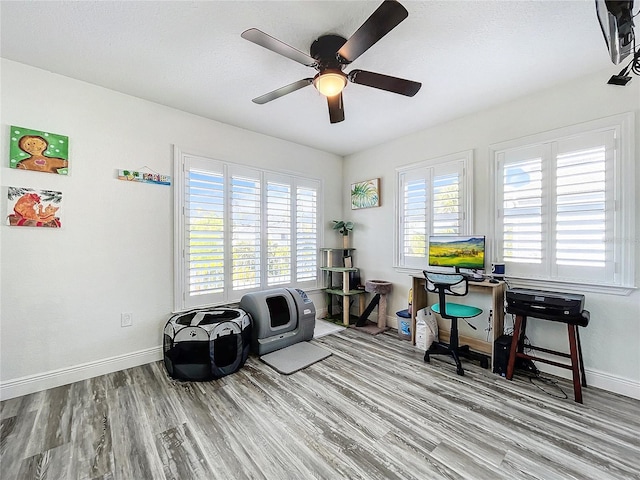 sitting room featuring ceiling fan and light hardwood / wood-style floors