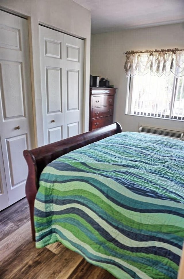 bedroom with two closets and hardwood / wood-style floors