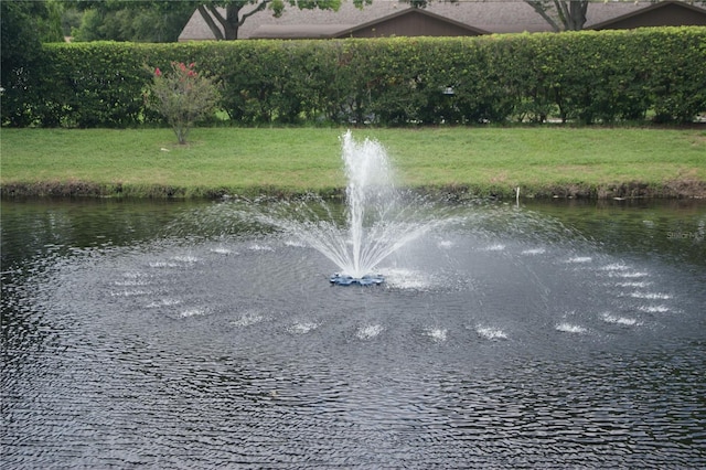 property view of water